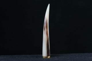 tamper horn